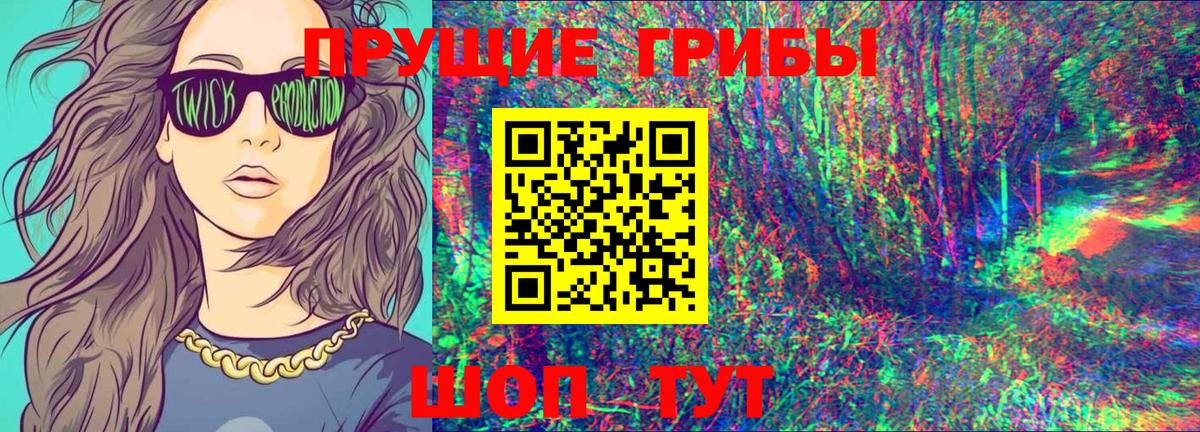 Псилоцибиновые грибы мухоморы  Псилоцибиновые грибы ЛСД  Вход с VPN  Елец 