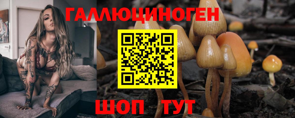 Галлюциногенные грибы MAGIC MUSHROOMS Елец